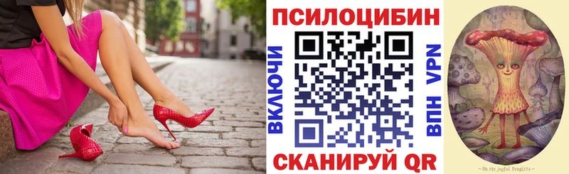 продажа наркотиков  Благодарный  Псилоцибиновые грибы ЛСД 